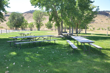 a picnic area