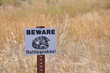 sign - Beware of rattlesnakes