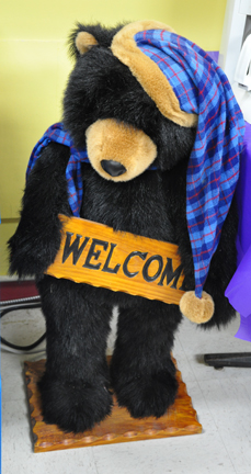 welcome teddy inside the KOA office