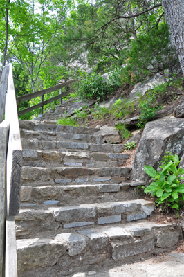 Stairs leading up to the Skyline trail.