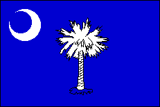The state flag of South Carolina 