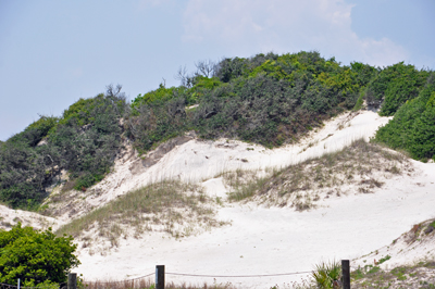 NaNa - the tallest dune in Florida