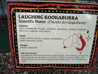 sign - Laughing Kookaburra