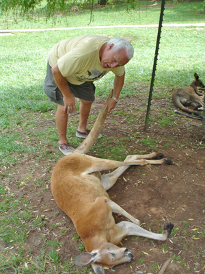 Lee Duquette and a red kangaroo