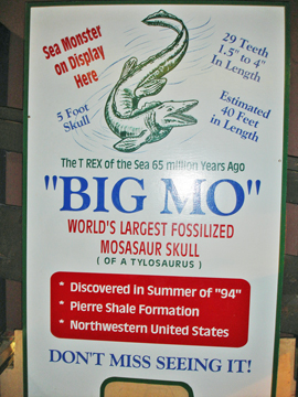 sign about big Mo