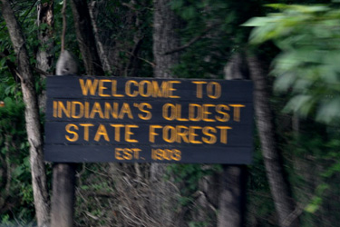sign - welcome to Indiana's oldest state forest