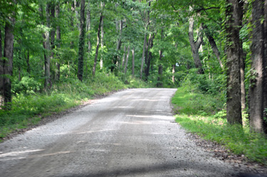 a gravel road