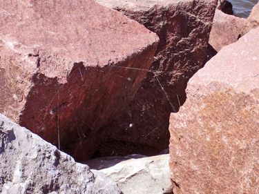a spider's web in the rocks