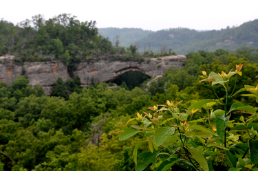 First view of the Natural Arch from Lookout Point