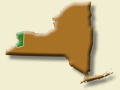 state of NY image