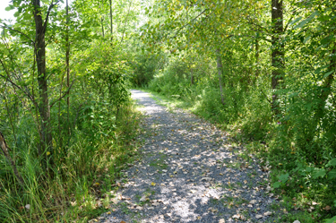 part of the hiking trails