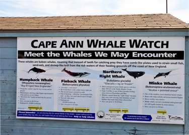 sign - Cape Ann Whale Watch