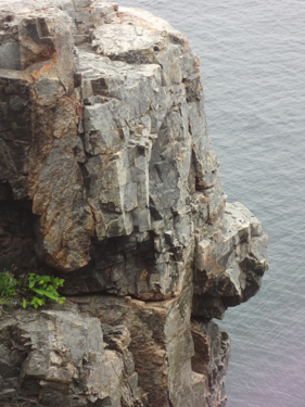 Lee takes an upward panarama photo of the cliffs