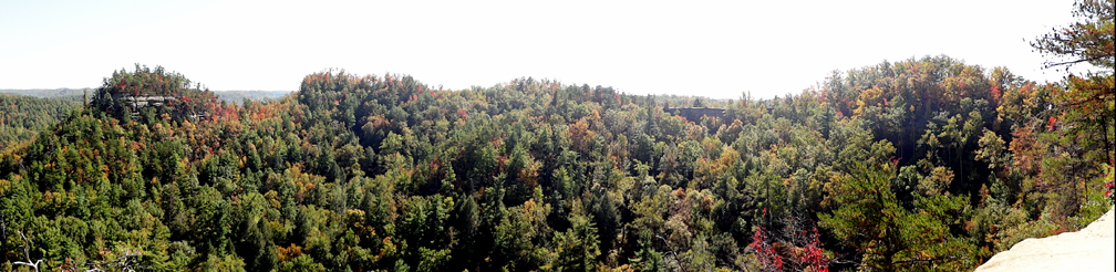 panorama of the fall colors