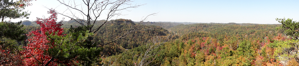 panorama of the fall colors
