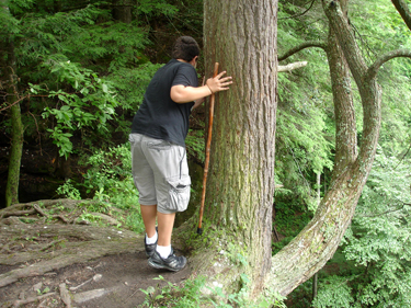 Alex hugs a tree to look down the cliff - trying to see the waterfall.