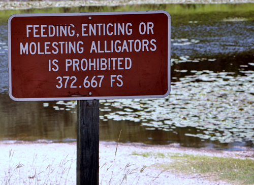 sign - do not feed alligators at Myakka River State Park