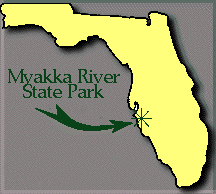 map of Florida showing location of Myakka River State Park