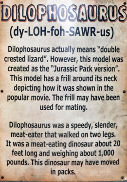 Dilophosaurus at Alex in a paleontological setting at Dinosaur World