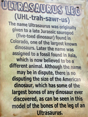 Ultrasaurus Leg at Dinosaur World