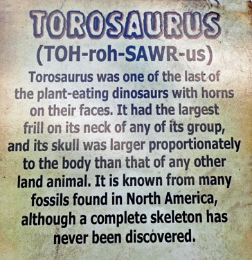 Torosaurus Hylaeosaurus at Dinosaur World