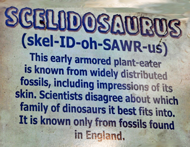 Scelidosaurus at Dinosaur World
