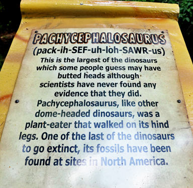 Pachycephalosaurus at Dinosaur World