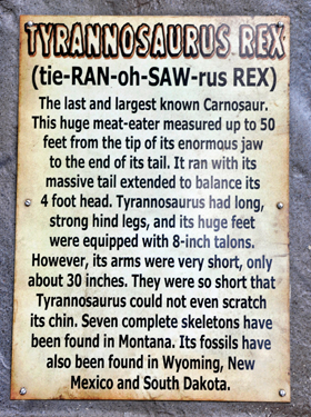 Tyrannosaurus Rex At Dinosaur World