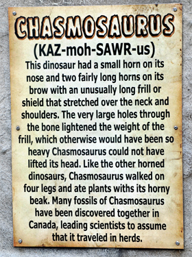 Chasmosaurus at Dinosaur World