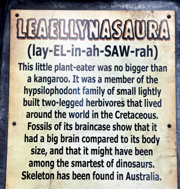 Leaellynasaura at Dinosaur World