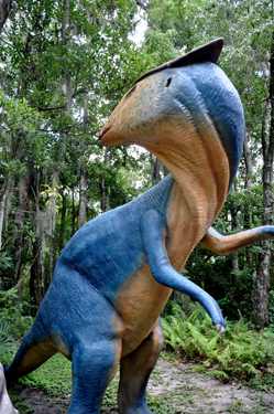Brachylophosaurus at Dinosaur World