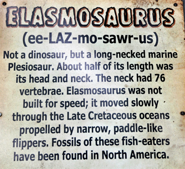 Elasmosaurus at Dinosaur World