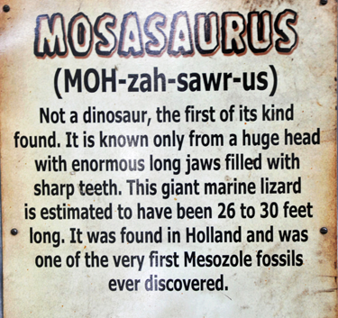 Mosasaurus at Dinosaur World