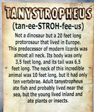Tanystropheus at Dinosaur World