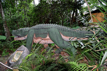 Saurosuchus at Dinosaur World