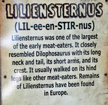Liliensternus at Dinosaur World