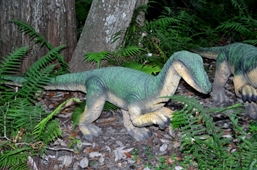 Coelophysus at Dinosaur World
