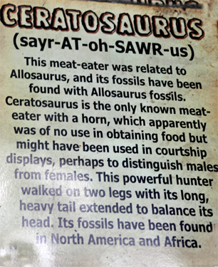 Ceratosaurus at Dinosaur World