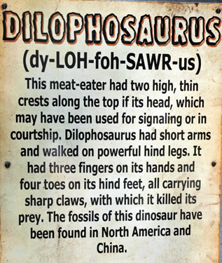 Dilophasaurus at Dinosaur World