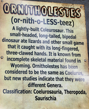 Ornitholestes at Dinosaur World
