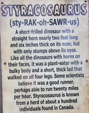 Styracosaurus at Dinosaur World