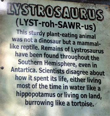 Lystrosaurus at Dinosaur World