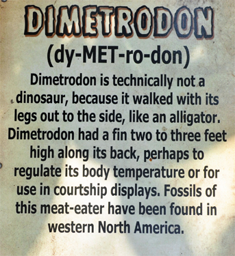 Dimetrodon at Dinosaur World