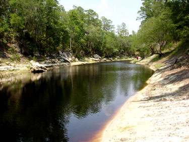 Alex and the two RV Gypsies' get their first look at the Suwannee River.