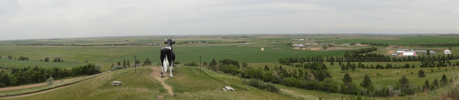 Panorama photo of Salem Sue in New Salem, North Dakota