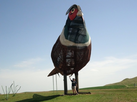 Karen Duquette under the rooster - daddy pheasant