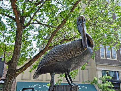 Pelican Ahoy sculpture - a pelican