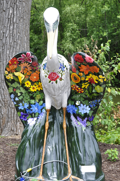 decorated pelican