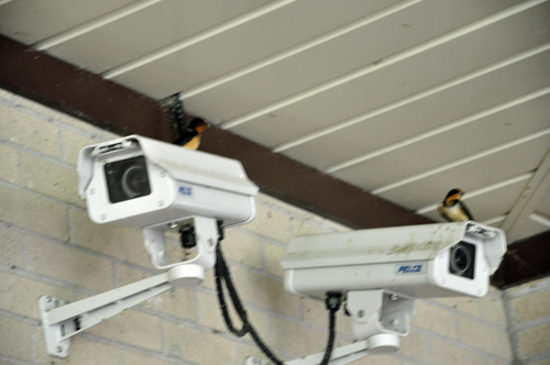 security cameras and birds