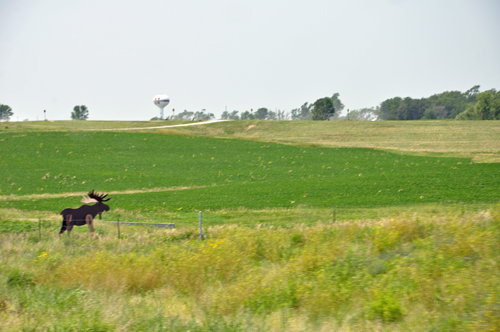 a wooden moose in a big empty field in Nebraska